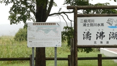 featured image thumbnail for post 濤沸湖のオジロワシ、ユリカモメなど White-tailed eagle, Black-headed gulls etc.@Lake Tofutsu